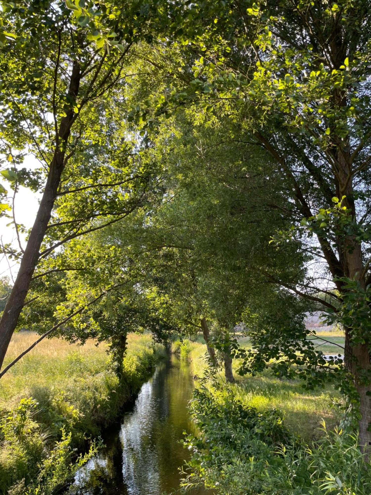 Guesthouse With 3 Apartments, Just Outside Berlin, Near To Tesla Burig Zewnętrze zdjęcie